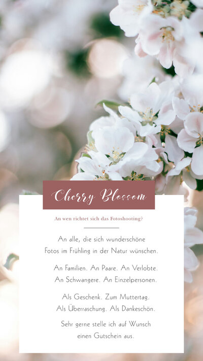 StoryAd Templates Cherry Blossom 2025_8