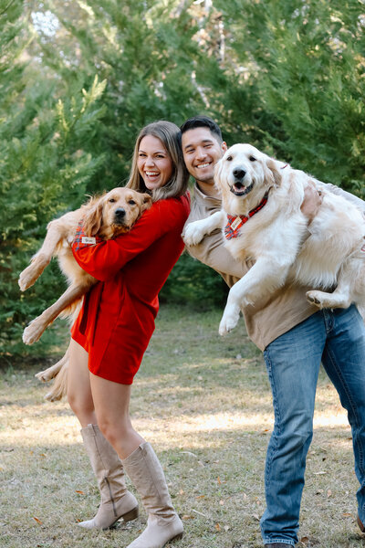 Christmas family photo while husband and wife hold up their two golden retreivers