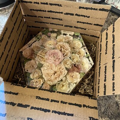 Bride with her bridesmaids holding light pink light peach and blue wedding party flowers