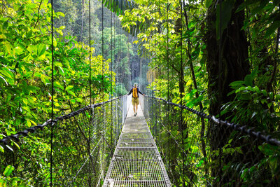 Cost Rica hanging bridge