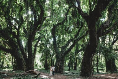Elopement Album 4