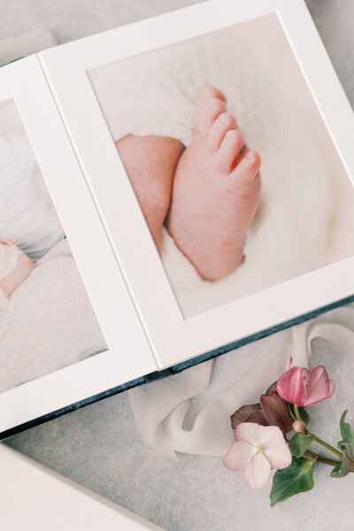 matted album 004