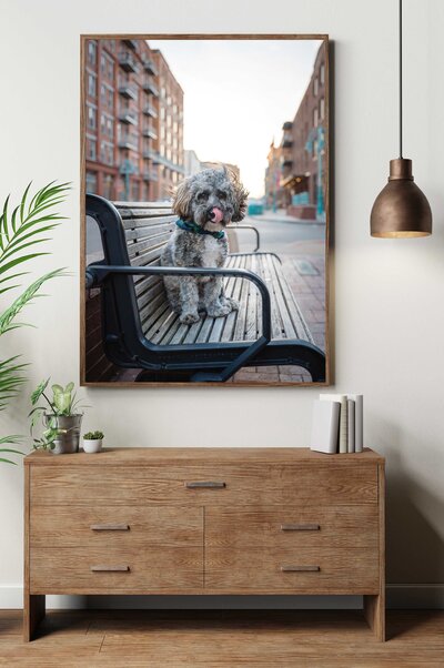 Portrait of a French Bulldog hanging on the wall in a living room