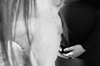 Monterey County pregnancy. Horse looking at maternity bump.