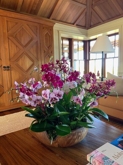 Purple phalaenopsis orchid arrangement living room