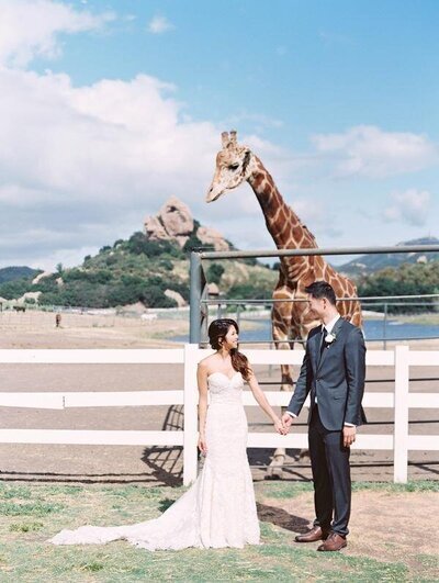 Kohnur couple portrait with bride in natural glam makeup and wavy half-up hair posing near a giraffe at Malibu California.