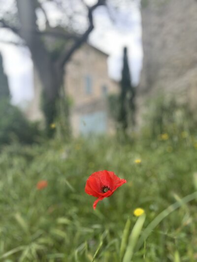 Partiers at Saint Martin Canal