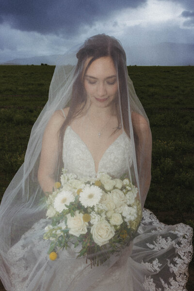 Cinematic bride under veil