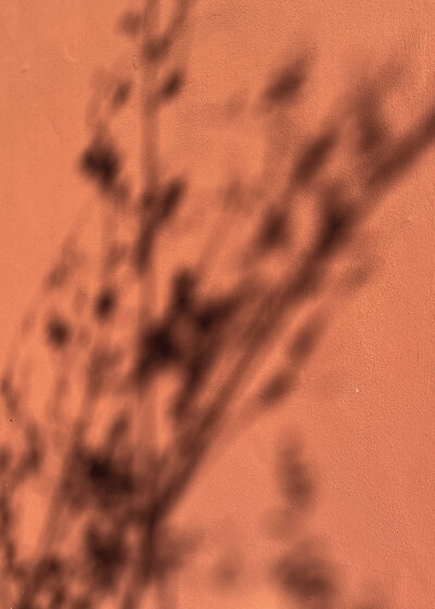 A terracotta-colored wall with soft tree shadows, used as a warm textured background element.