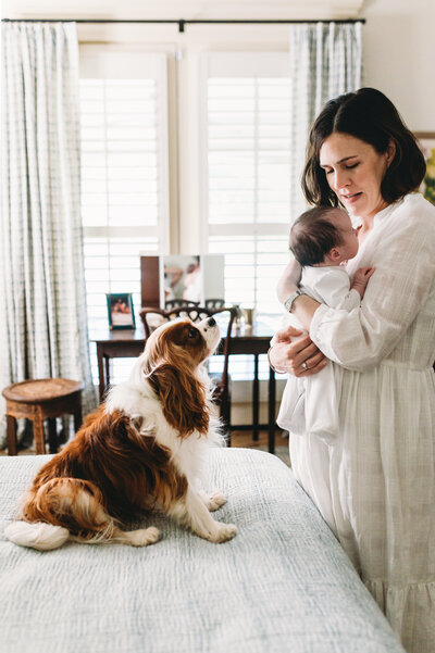 mother holding newborn daughter at home in bedroom with dog