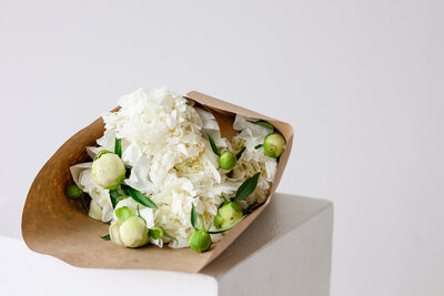 Branding-Photographer-Denver-for-coaches (36)