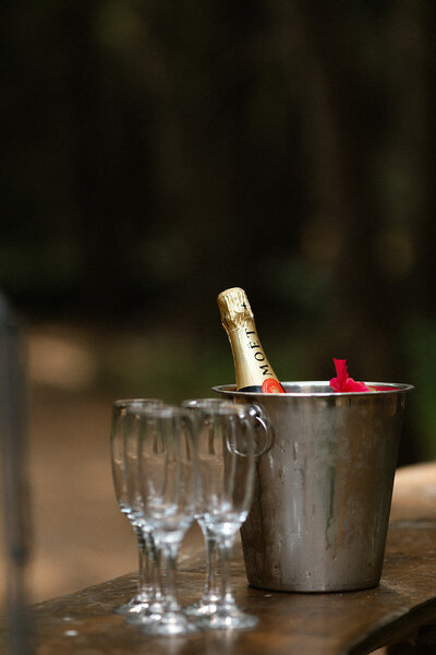 Moet champagne and glasses at a durham region wedding 