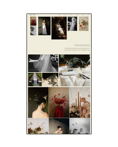 Portfolio for Website
