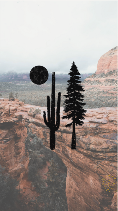 Sonora Photographer