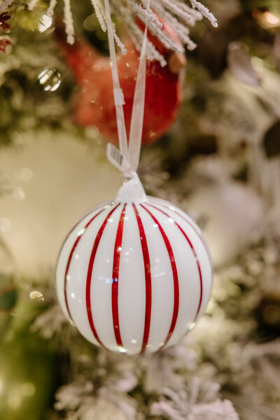 PetesGreenhouseAmarillo-220