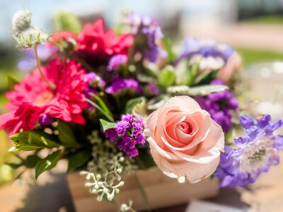 Service at Speak Social