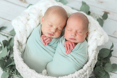 Twin newborn boys wrapped and posed inside large basket with greenery around them