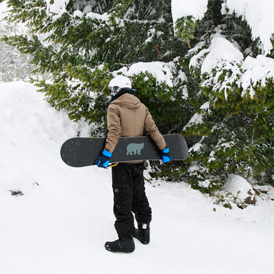 Alpine Hotel branding shown on the back of a snowboard.