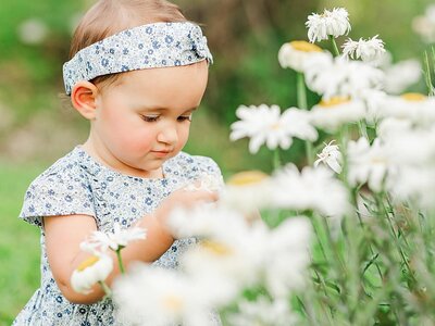 Little girl with a blue headband looking at white flowers.