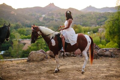 Malibu elopement with horses