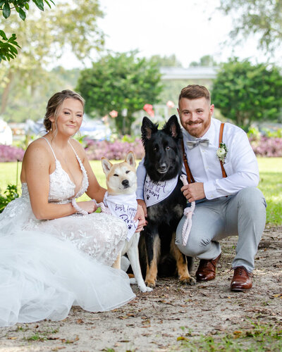 An Arkansas bride and groom pose with their dogs for wedding photography.