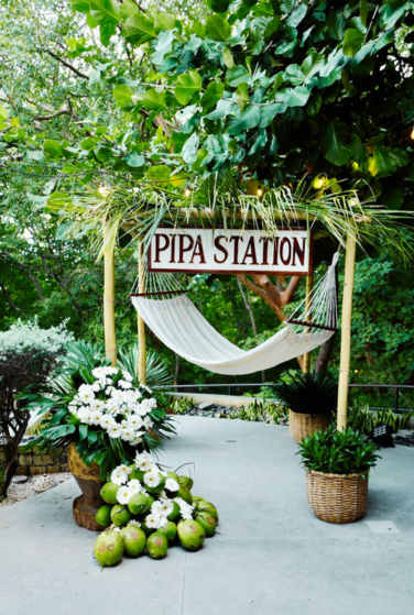 finalpipastation (376 x 559 px)