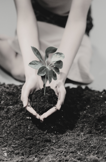 Black and white image of woman holding a handful of soil with a small plant.