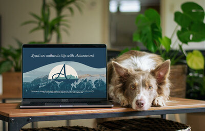 A table is visible in frame, with a brown-and-white dog facing the viewer on the right. On the left is a laptop screen, open to the Attunement LLC website in a blue and green color scheme.