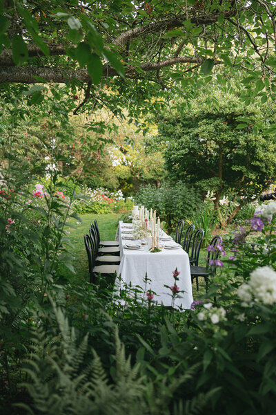 seattle_botanical_garden_dinner_party_mylaliphotos-16