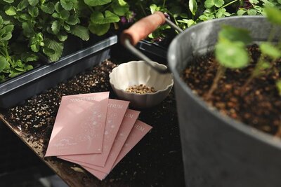 Flower Farm brand by Ethos + Bloom Creative