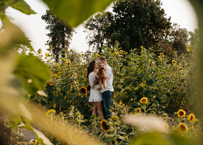 A young engaged couple kissing among the sunflowers in Wilsonville, Oregon.