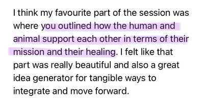 animal communication testimonial