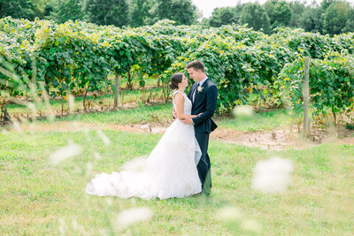 bride and groom standing in vineyard
