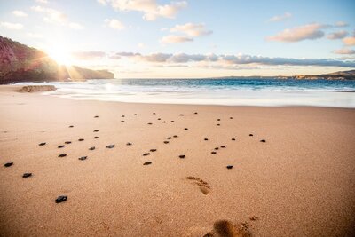 Careyes-Mexico-Turtle-Protection-Sanctuary-9-0612-Retouched