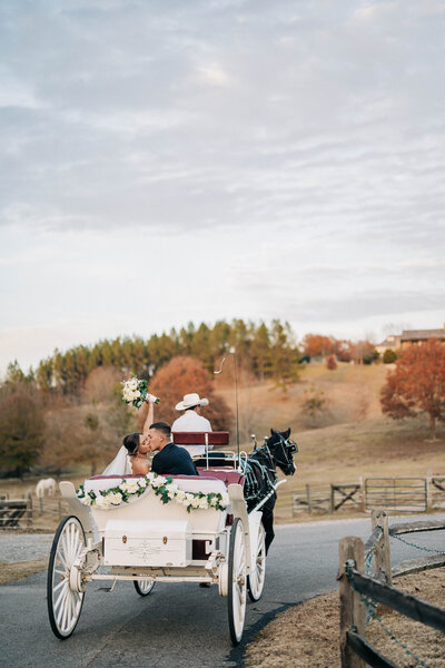 woman and man kissing and riding in a white carriage with a horse pulling them