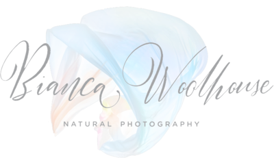 Bianca Logo_Horizontal_Transparent