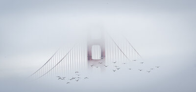 Golden Gate Bridge partially hidden in fog with birds flying above suspension cables in San Francisco


