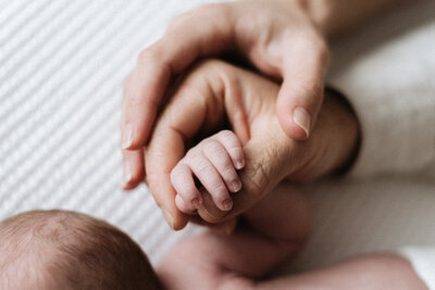 Close up of babies hand inside mum and dads hands at newborn photography session in Billingshurst