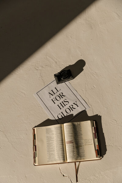 kenzie pellerins portfolio image of bride and groom kissing