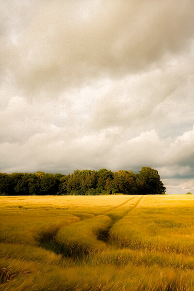 Landscape Photography Norfolk