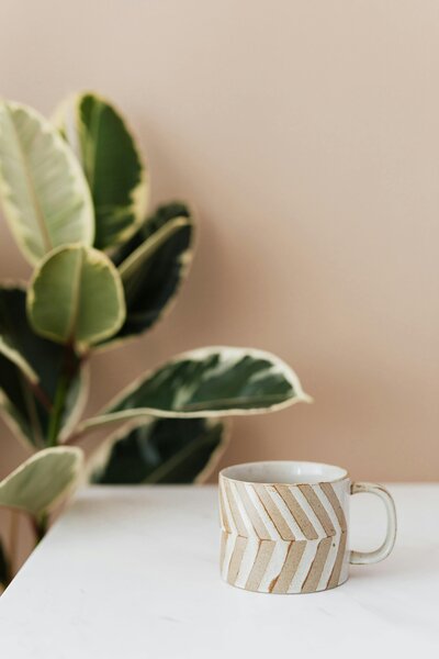 Plants and mug