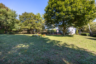 6 Andrew yard (6)