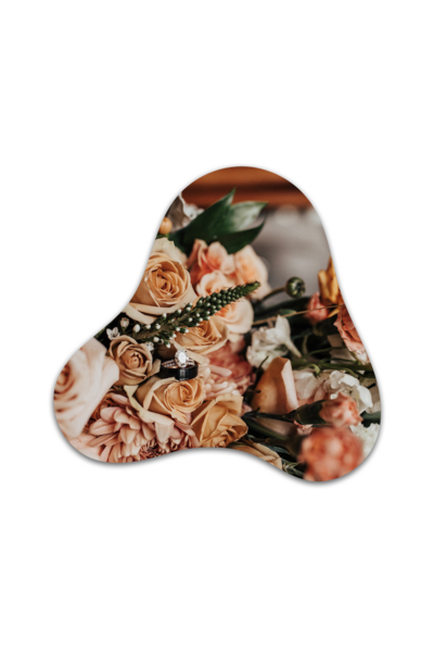 Diana riley offers photography mentorship to beginner  photographers  virtually or in person in the Bay Area