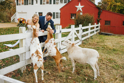 Destination Wedding Photographers