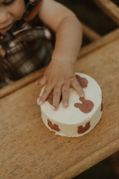 Vintage-inspired outdoor cake smash session in Evans Head NSW, featuring a barefoot baby in a brown bear bonnet and retro check overalls, sitting in a wooden highchair surrounded by lush grass trees. Captured by a 70s-style family photographer near Byron Bay, Ballina, and Lennox Head.