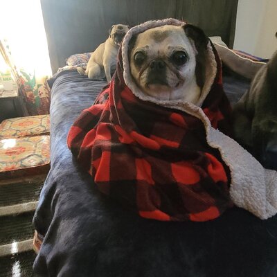 532467777_1185493333619648_501315286290730105_n