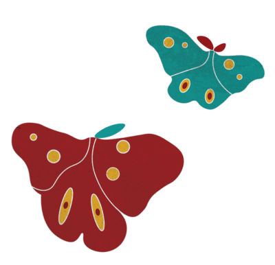 Two colorful butterflies showcasing their intricate patterns and vibrant colors.