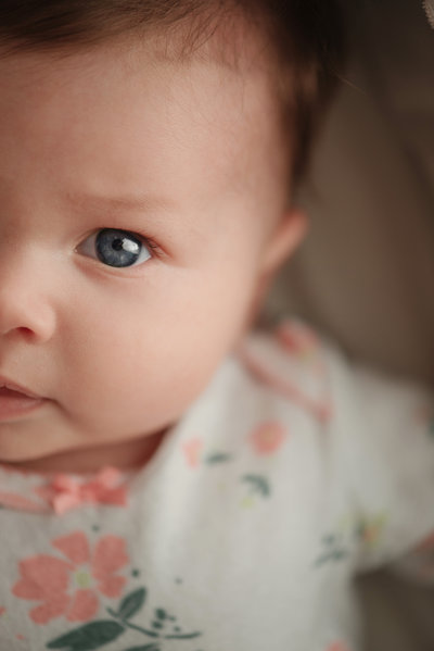 portrait of a blue eyed baby looking into the camera in a a floral onesie