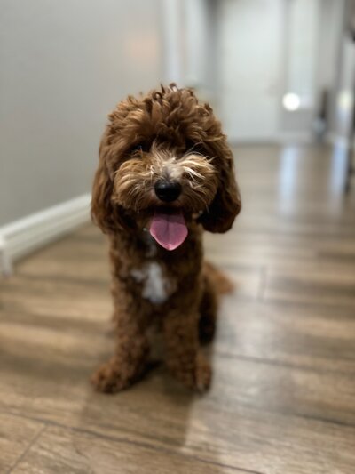 Jeter 