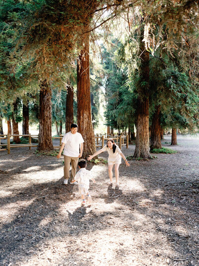 toddler running to mom and dad with tall redwood trees in the background